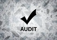 Audit tracking system — offline capability and compliance tracking by Dark Arts Ltd